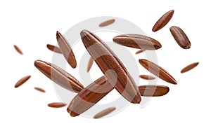 Raw brown rice levitates on a white background