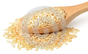 Raw brown rice in the wooden spoon, isolated on the white background