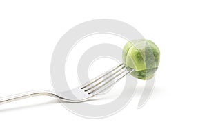 Raw Brussels sprout isolated