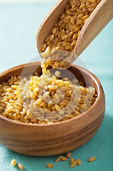 Raw bulgur in scoop and bowl