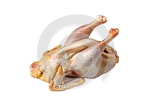 Raw butchered chicken for cooking on a white background.