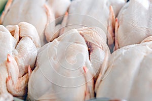 Raw butchered chicken