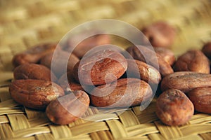 Raw cacao beans