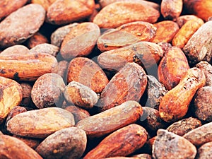 Raw Cacao Beans Background