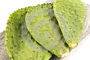 Raw Cactus Paddles on a White Background