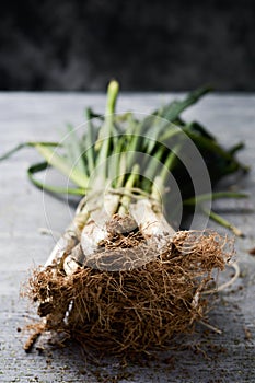 Raw calcots, sweet onions typical of Catalonia, Spain