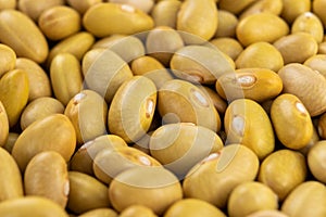 Raw Canary peruvian yellow beans. Dry peruano legumes photo