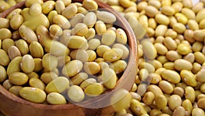 Raw Canary peruvian yellow beans falling into a rustic wooden bowl.