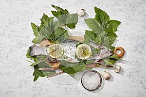 Raw carp on the wooden cutting board