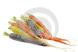 Raw carrots with different colors