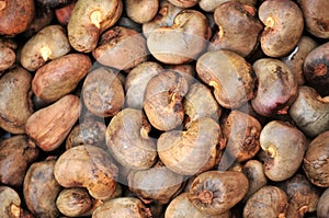 Raw Cashew Nuts photo