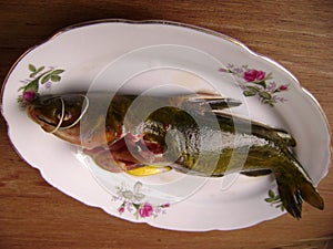 Raw catfish ready for cooking