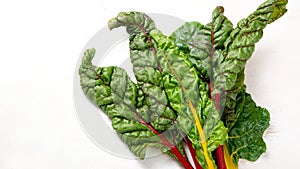 Raw chard on light background