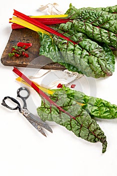 Raw chard on light background