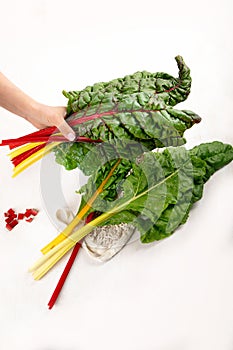 Raw chard on light background