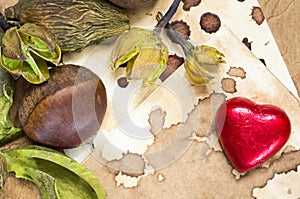 Raw chestnut, chocolate heart and dried plants background