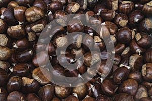 Raw chestnuts close up background. Food Background