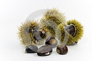 Raw chestnuts.a close up shot