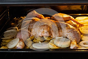 Raw chicken with baked potatoes and onions in the oven