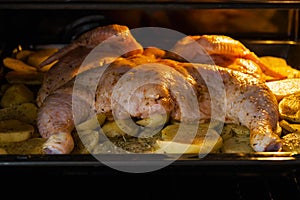 Raw chicken with baked potatoes and onions in the oven