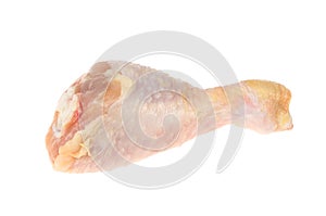Raw chicken drumstick