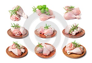 Raw Chicken Drumsticks Isolated, Uncooked Poultry Legs, Fresh Hen Meat, Fresh Chicken Drumstick