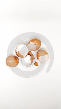 Raw Chicken Egg's Shell