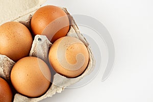 Raw chicken eggs in an egg tray on a white background
