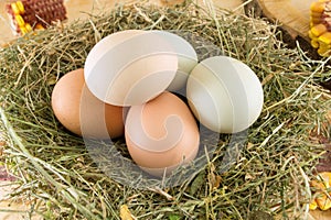 Raw chicken eggs in a nest