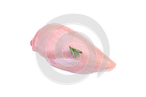 Raw chicken fillet with rosemary isolated on white background.