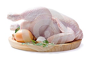 Raw chicken isolated