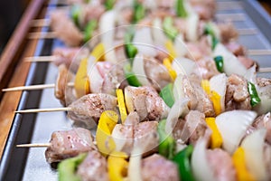 Raw chicken kabob skewers with bell peppers