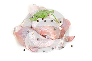 Raw chicken leg with ingredients for cooking food on white background - fresh uncooked chicken meat for cooking food