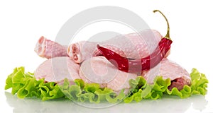 Raw chicken legs, lettuce and red chili peppers isolated on white