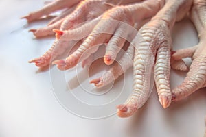 Raw chicken legs natural food for pets