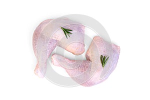 Raw chicken legs with rosemary isolated on white background.