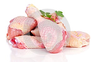 Raw chicken meat