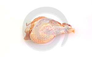 Raw chicken middle wing on white background