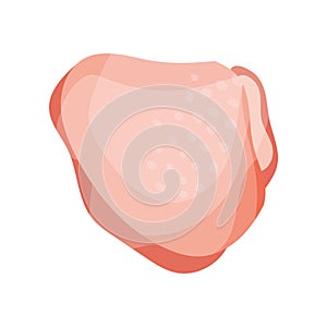 Raw chicken thigh, fresh meat concept vector Illustration on a white background