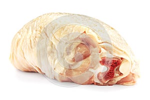 Raw chicken thigh isolated on white background with shadow. Fresh raw chicken thigh for cooking. Raw chicken thigh, isolate, close