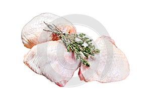 Raw chicken thigh, organic poultry meat. Isolated on white background. Top view.