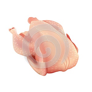 Raw Chicken . Uncooked Food. Isolated On White Background Icon