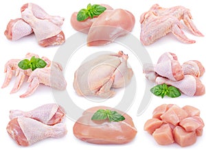 Raw chicken on white background