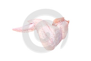 Raw Chicken wing isolated on white background. One. Fresh chicken part for cooking. Close-up. Top view.