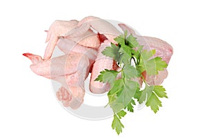 Raw chicken wings