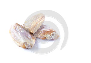 Raw chicken wings isolated on white background