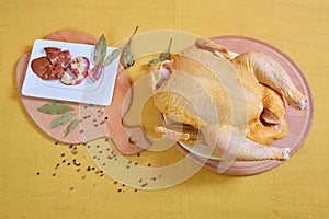 Raw chicken on a yellow background
