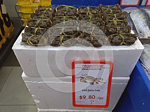 Raw Chinese mitten crab, shanghai hairy crab