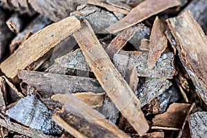 Raw Cinnamomum verum,Cinnamon in the market.