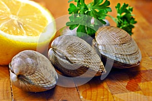 Raw Clams